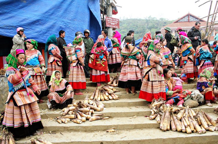 Bac_Ha_Flower_Hmong_17