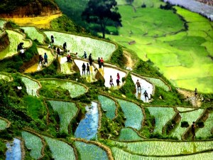 From-Ha-Long-bay-to-Sa-Pa-Trekking-in-Sapa-11days-2