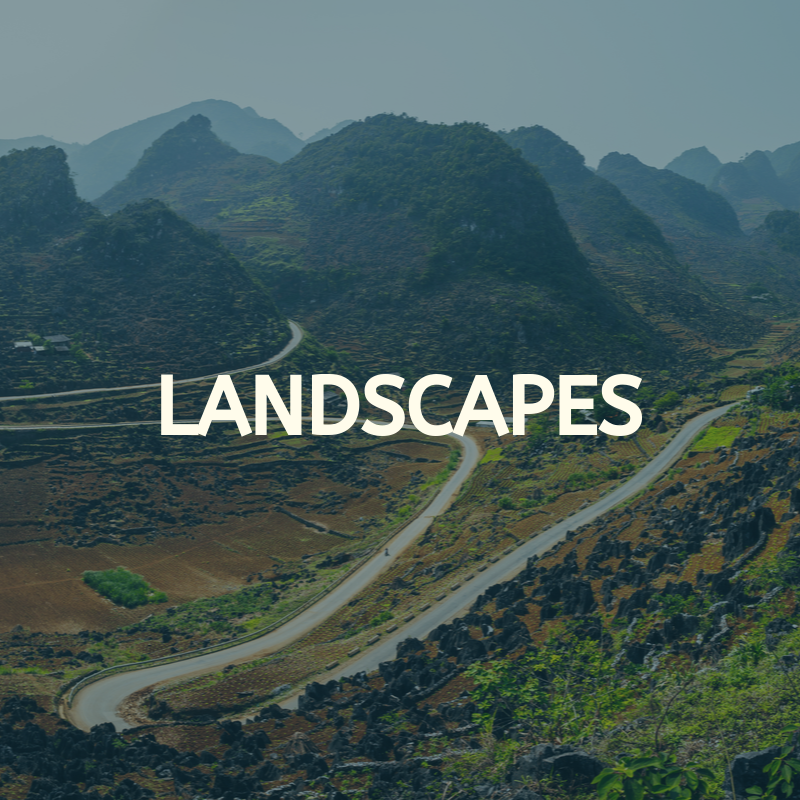 THON THA TREKKER (18)