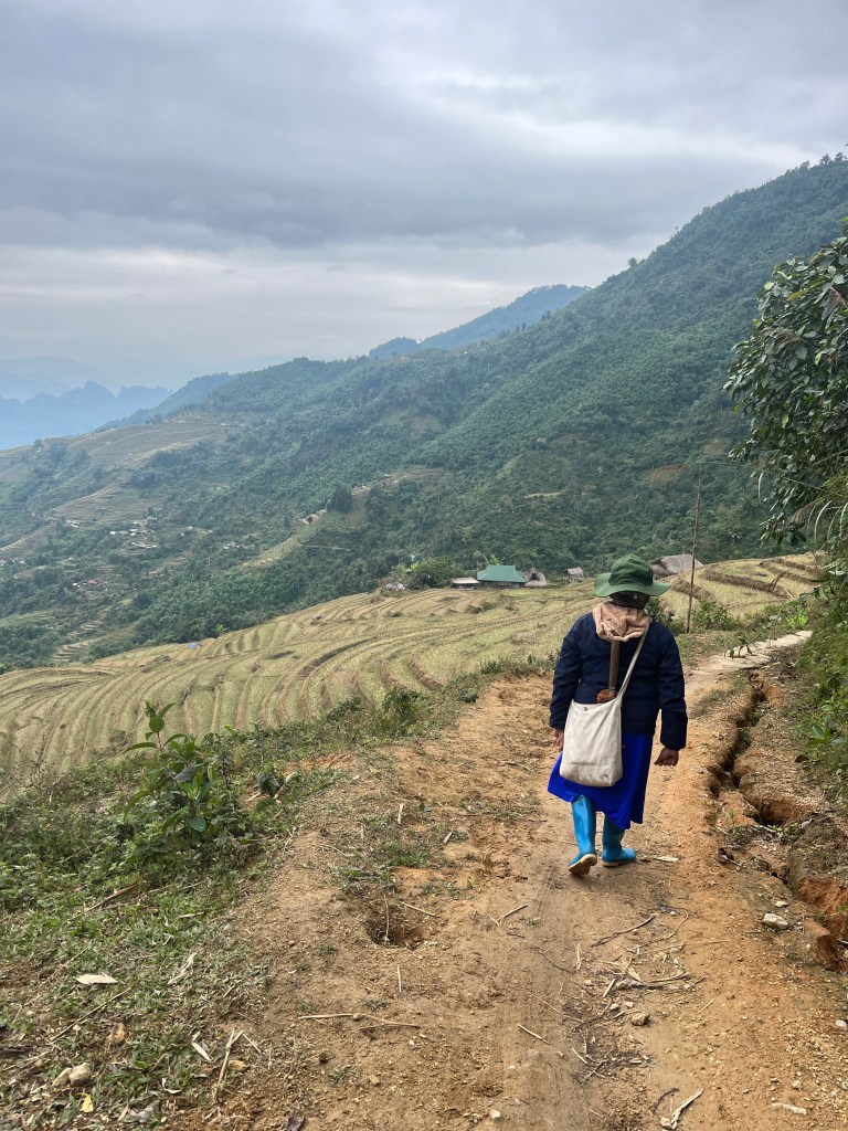 YESD local guide - Ms Duong