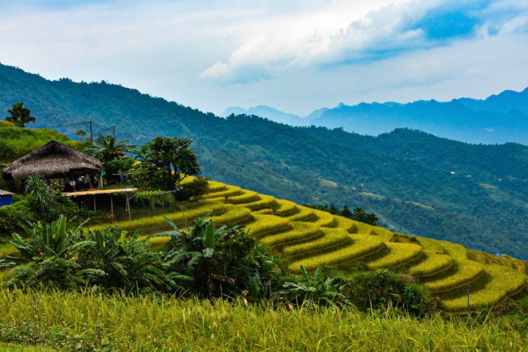 Top Reasons to visit Ha Giang in&nbsp;Autumn