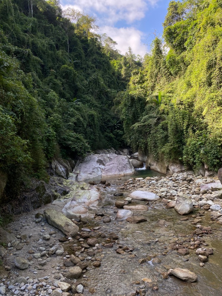 Explore the Vietnamese Jungle and Rice Fields with&nbsp;Me
