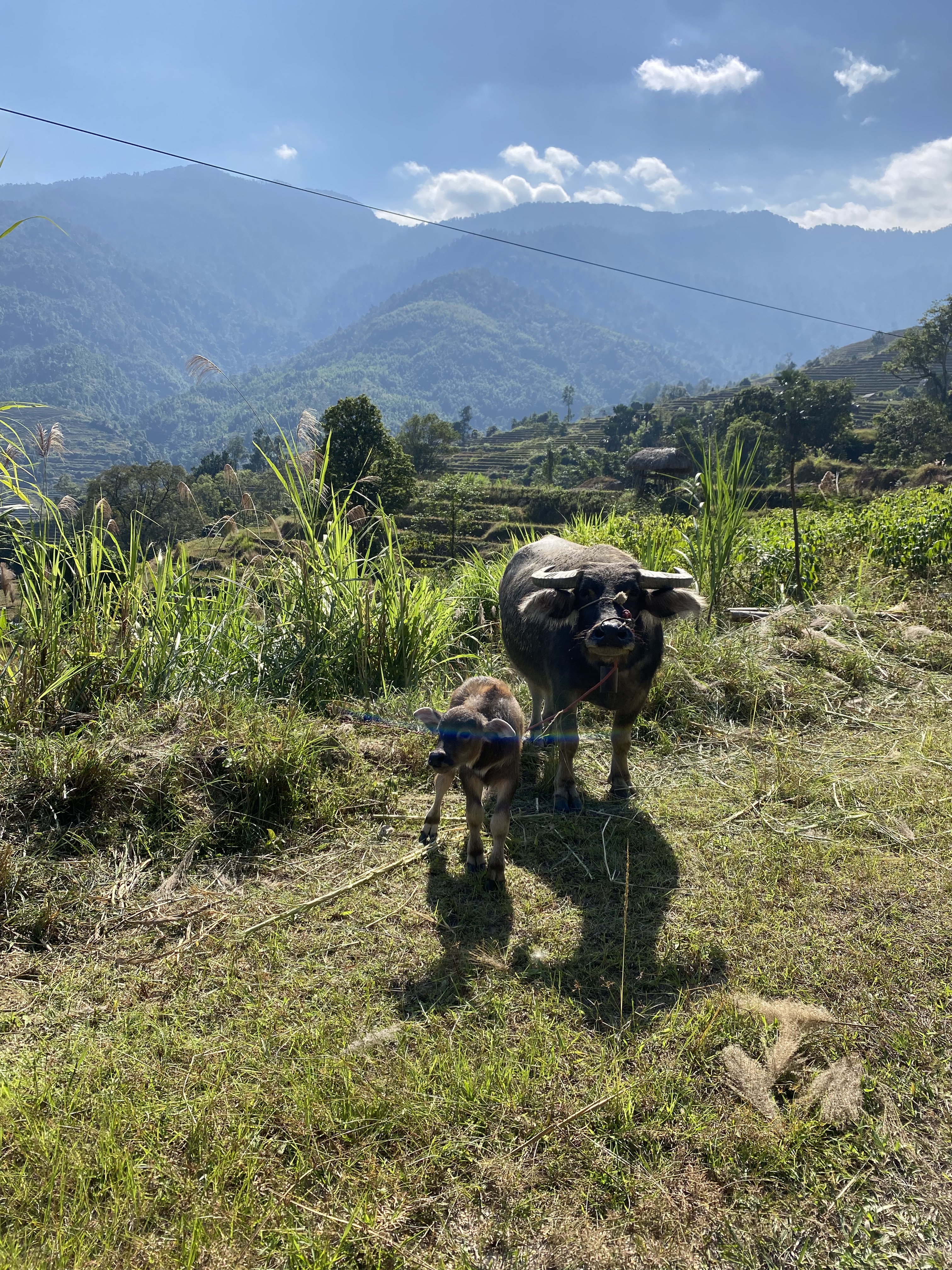 Ha Giang Trekking Tour
