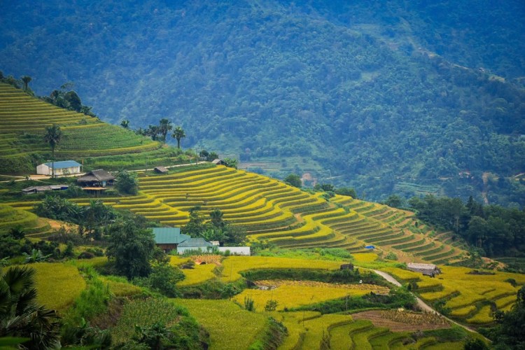 Ha Giang Travel Guide: Everything You Need to Know Before Your Trip