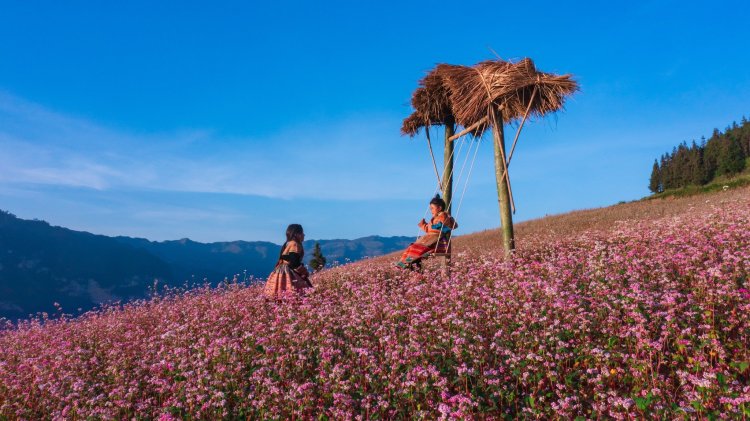 Best Time to do the Ha Giang Loop: A Season-by-Season Survival&nbsp;Guide